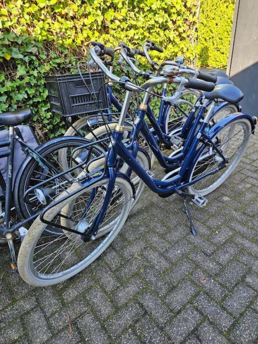 Smalland Loosdrecht Amsterdam Екстериор снимка